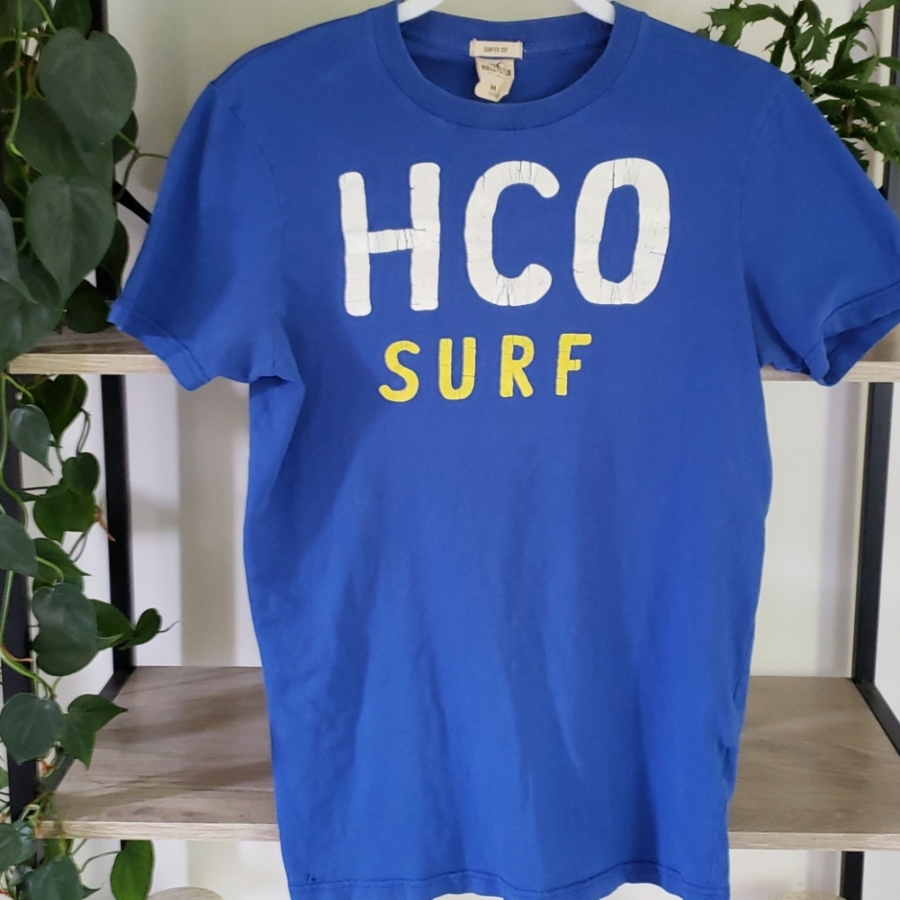 HOLLISTER Men's T_Shirt